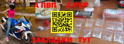 индика Камышлов