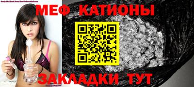 индика Камышлов