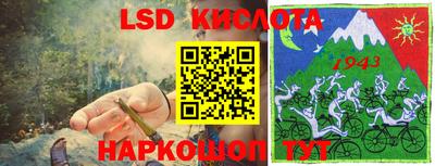 индика Камышлов