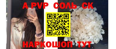 индика Камышлов