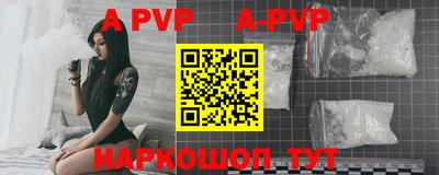 индика Камышлов