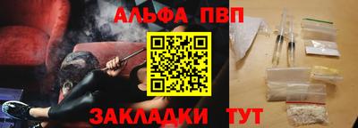 индика Камышлов