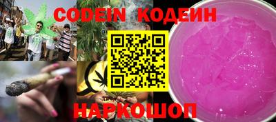 индика Камышлов