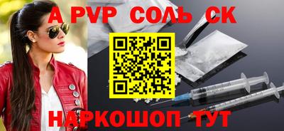 индика Камышлов