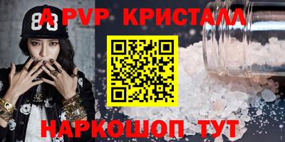 индика Камышлов
