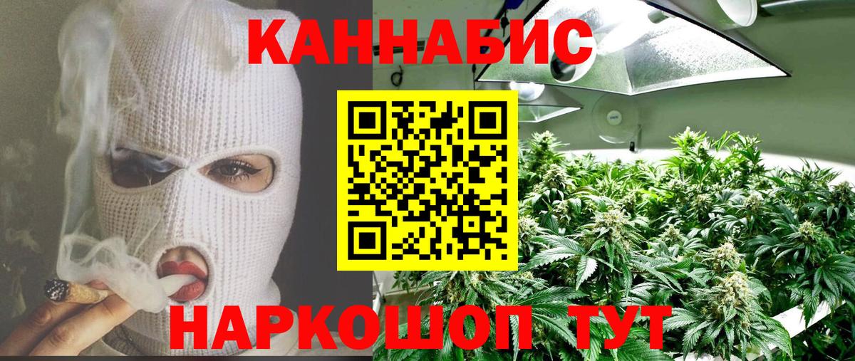 Каннабис индика Кстово